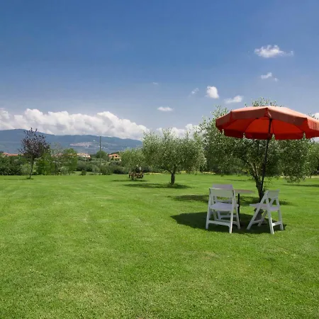 Il Loto By Interhome * Cortona